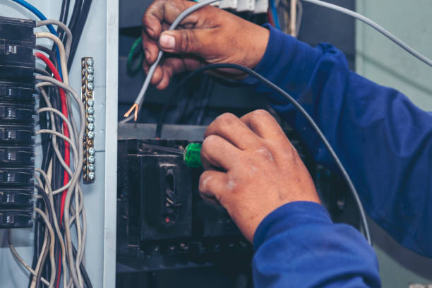 Best Electric Panel Repair  in Tryon, NC